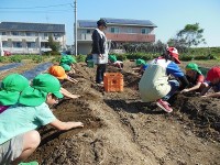 お芋ほり