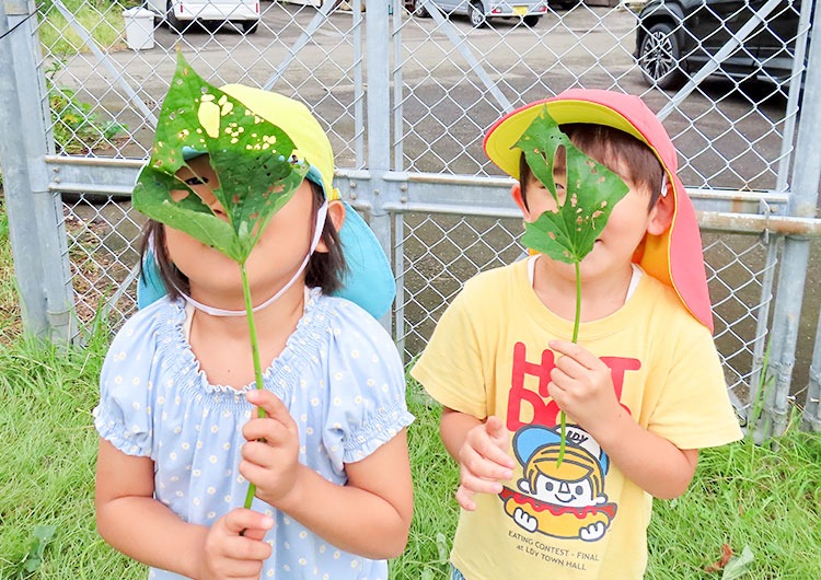 日々のこどもたちの様子