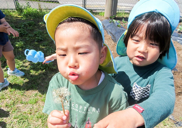 日々のこどもたちの様子