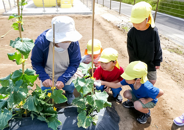 日々のこどもたちの様子