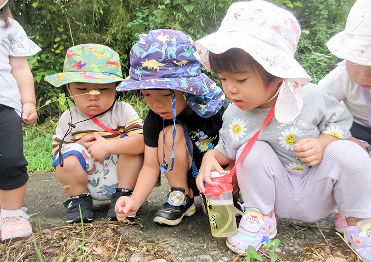 日々のこどもたちの様子