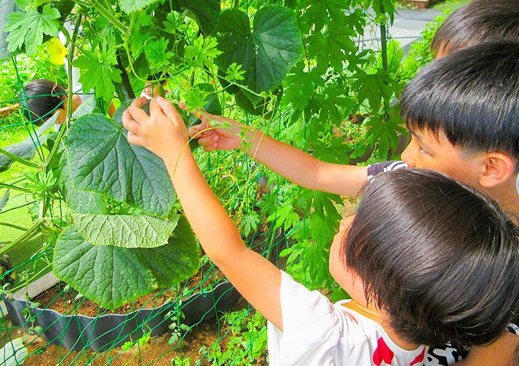 日々のこどもたちの様子